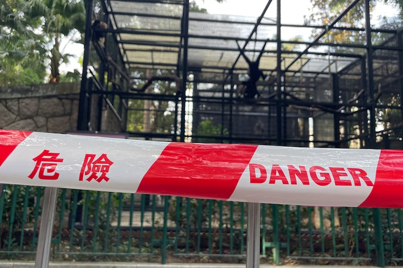 A cordon around the enclosures of monkeys after the deaths of several primates at the Hong Kong Zoological and Botanical Gardens (AP)