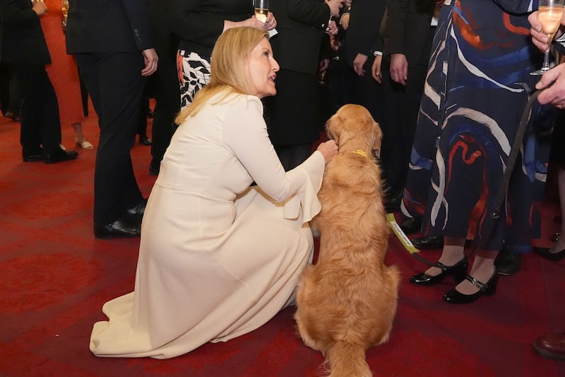 The Duchess of Edinburgh with Lib Dem MP Steve Darling’s guide dog Jennie