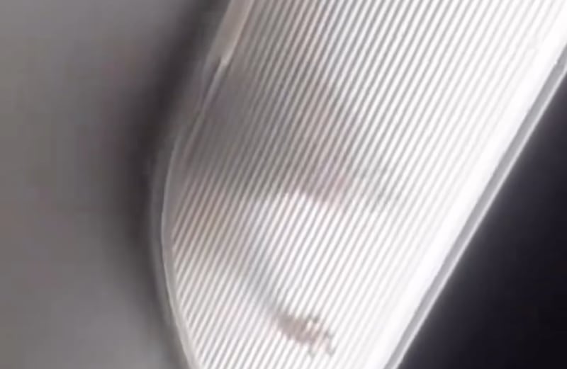 The suspected rodent was seen in the light fixture onboard the plane before disappearing from view (x.com/@DallasTexasTV)