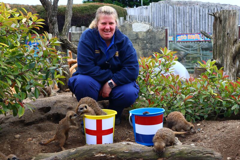 Drusillas head keeper Gemma Romanis with the meerkats