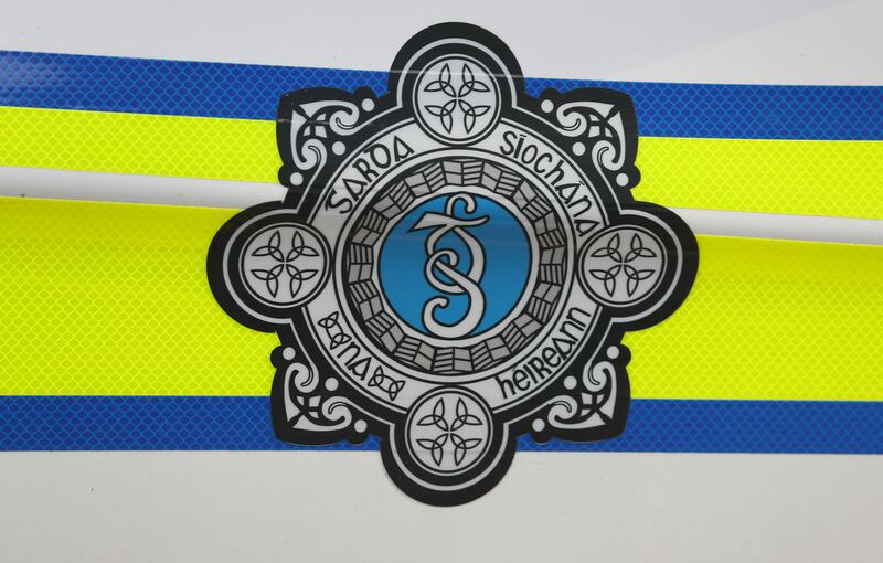 One dog was put down by gardai and several others were seized