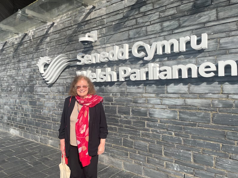 Julie Morgan, the member of the Senedd for Cardiff North, who brought forward the motion