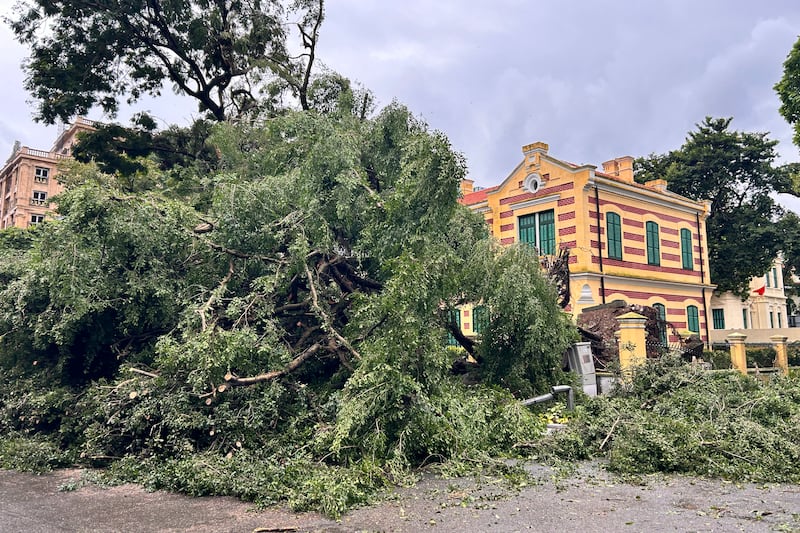 The storm uprooted trees (AP Photo/Aniruddha Ghosal)