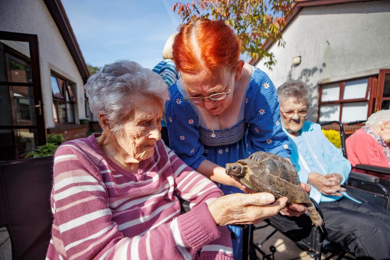 Catherine Hoy placing a Mushroom the turtle onto Seapatrick Care Home resident Isabella’s hand during a pet therapy session in Banbridge Care Home. Picture date: Thursday September 19, 2024. PA Photo. See PA story ULSTER Animals. Photo credit should read: Liam McBurney/PA Wire