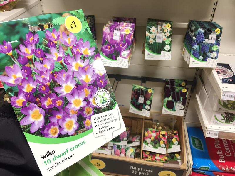 A £1 pack of spring bulbs (PA)