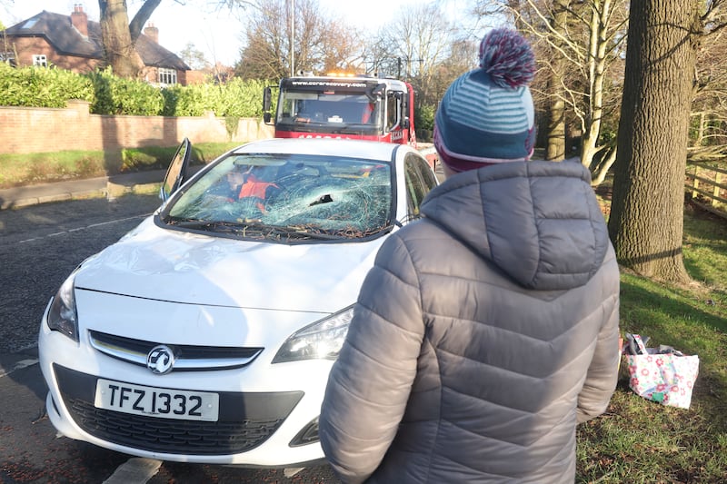 Driver Pauleen Millar had a lucky escape when a tree came down on her car at the junction of circular road and cairnburn road in east Belfast. PICTURE: MAL MCCANN