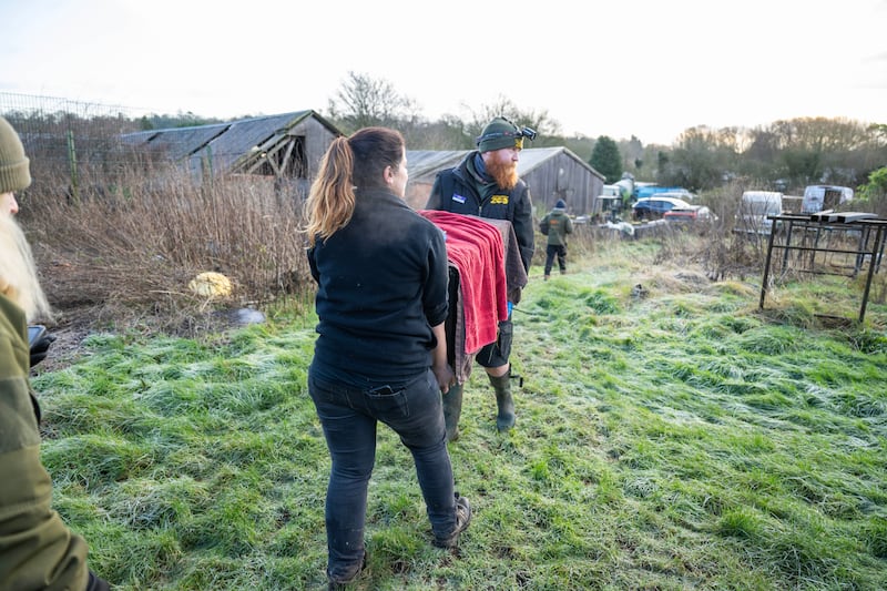 The cats are being moved and looked after by Hertfordshire Zoo and The Big Cat Sanctuary.