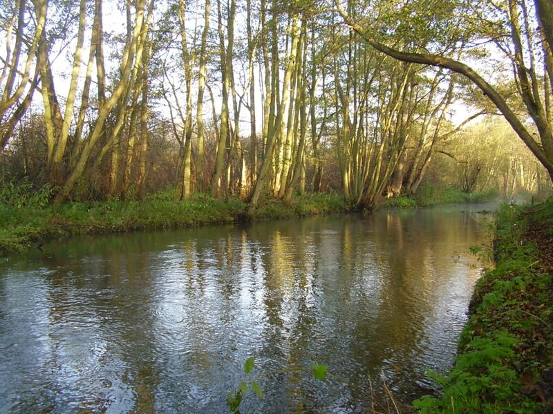 A section of the River Bure in Norfolk.