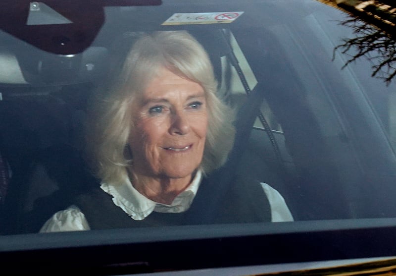 Camilla visiting the King in hospital