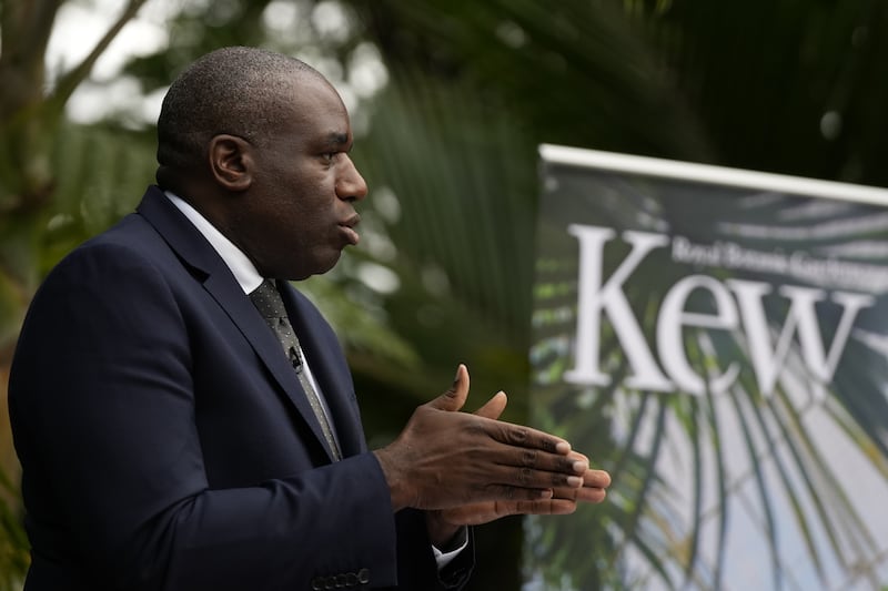 Foreign Secretary David Lammy was speaking in the Temperate House at Kew Gardens, west London