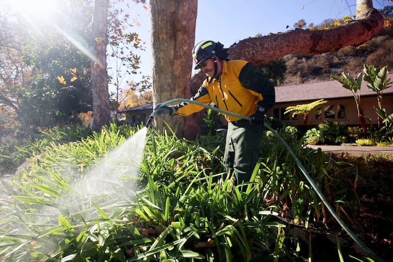 A firefighter hoses vegetation around a property while protecting structures from the Palisades Fire in Mandeville Canyon in Los Angeles (Ethan Swope/AP)