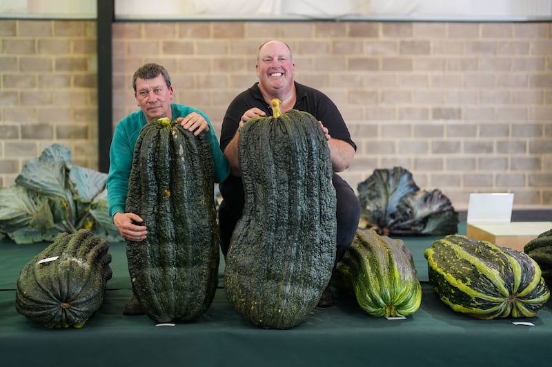 Carl Lambourne and Tim Saint with marrows they have entered ahead of the UK national giant vegetables championship