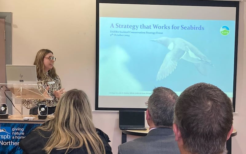 Erin McKeown speaking at the Seabird Conservation Strategy Launch