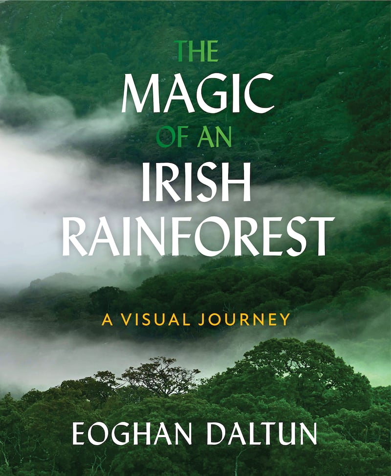 The Magic of an Irish Rainforest: A Visual Journey by Eoghan Daltun is published by Hachette Books Ireland,