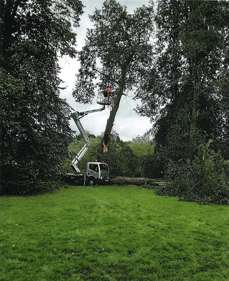 Workmen in the area in The Carrs, a woodland area in Wilmslow, Cheshire where Chris Hall was hit by a limb of a tree