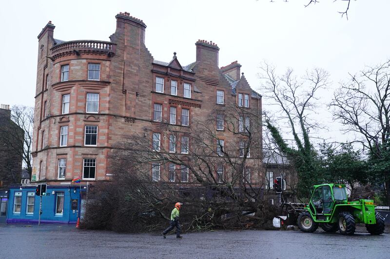 Workers removing a fallen tree on Regent Road, Edinburgh