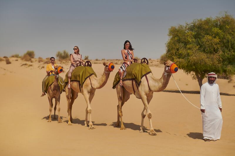 Camel riding in the desert