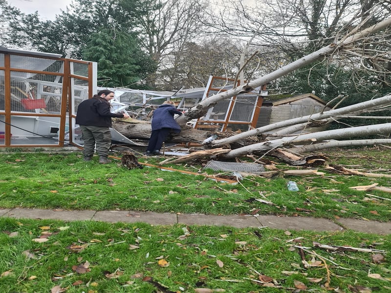 Avon Cat Rescue has started a fundraiser to help raise money to restore the newly-built cat pen (Avon Cat Rescue)