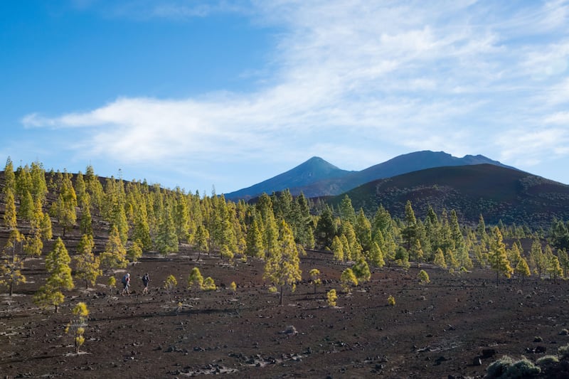 Hiking up Mount Teide in Tenerife, Canary Islands, Spain