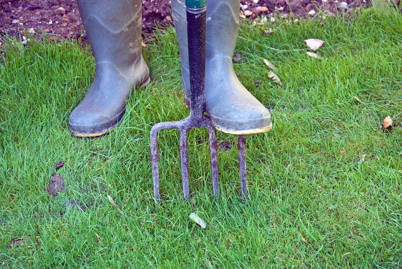 Remember to aerate the lawn