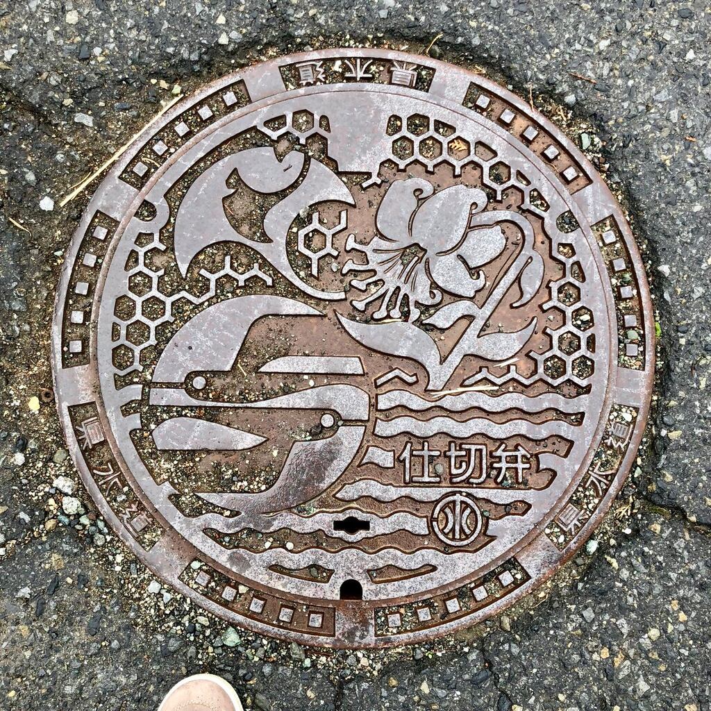 These manhole covers from Japan make Western ones look inexcusably ...