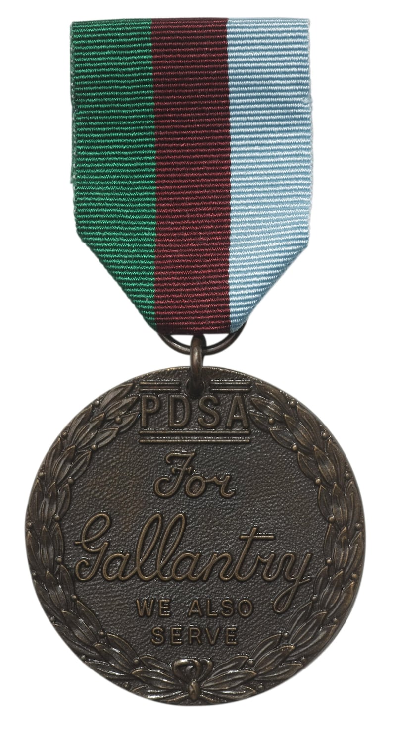 The medal is the equivalent of the Victoria Cross for animals in military service