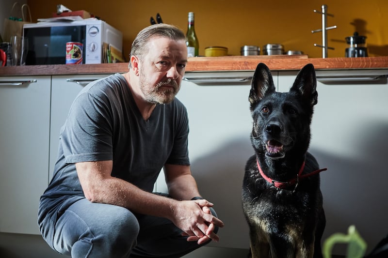 After Life’s Gervais and his dog. (Natalie Seery/Netflix)