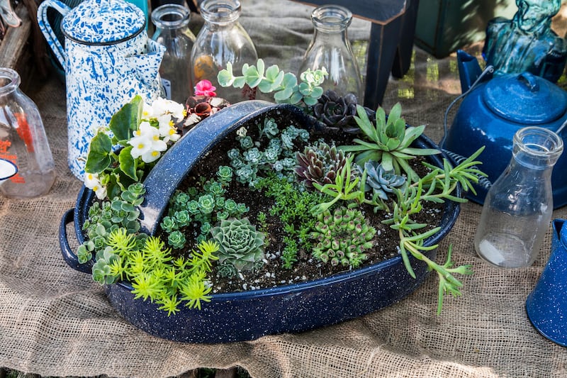 Vintage household items can be used as plant containers