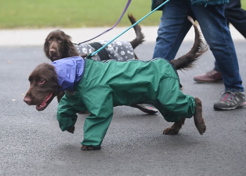 Crufts Dog Show – Day One