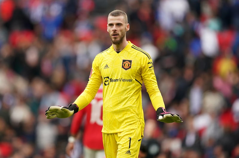 Former Manchester United goalkeeper David De Gea has revived his career at Italy’s Fiorentina