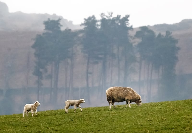 There has been sustained outrage among farmers at the changes announced in the Budget