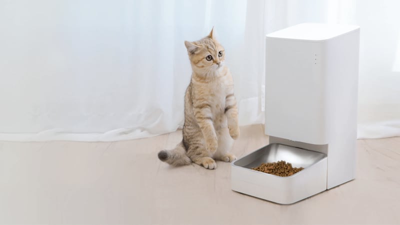 Xiaomi Smart Pet Food Feeder, £59.99, was £84.99