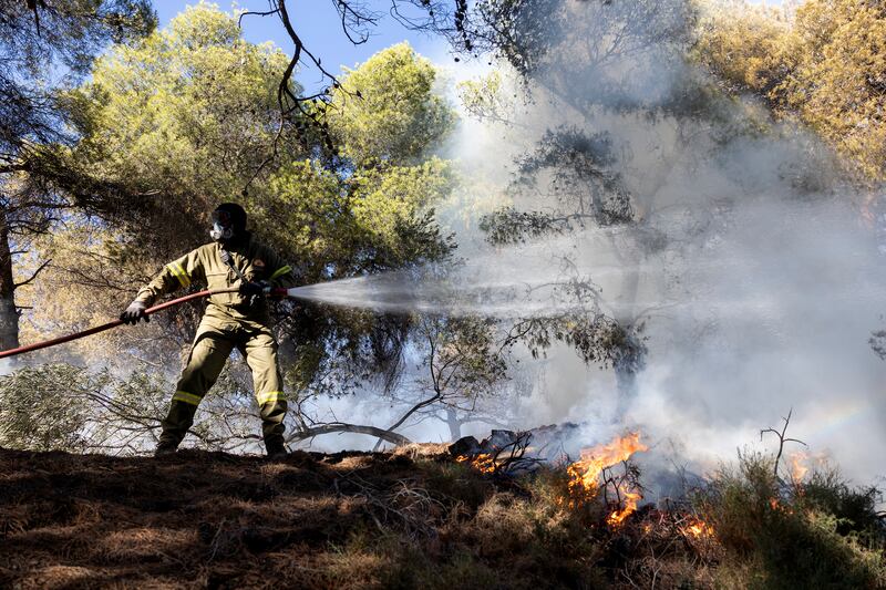 A firefighter struggles to extinguish a forest fire at Keratea area, southeast of Athens, Greece (Yorgos Karahalis/AP)