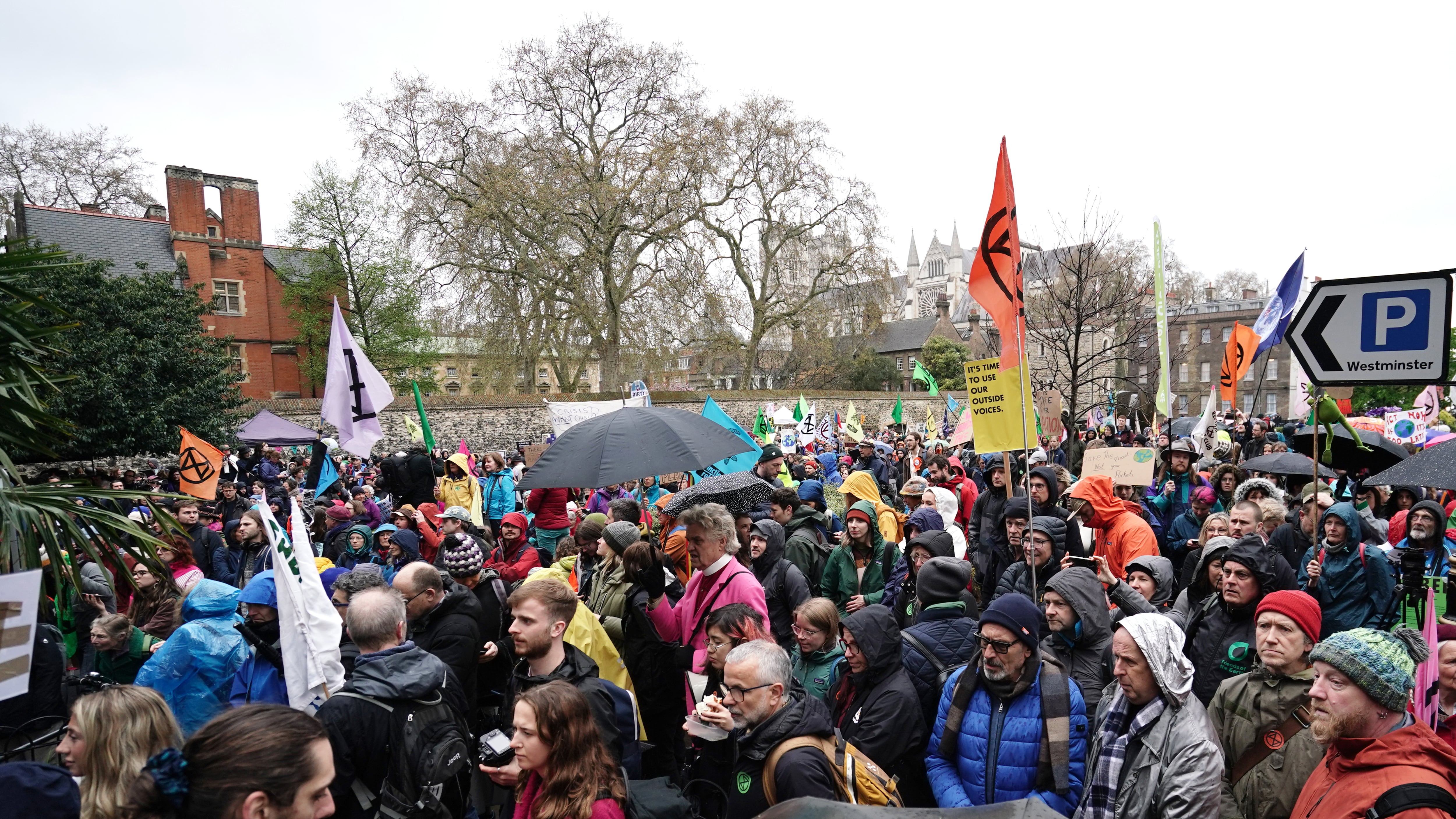 Extinction Rebellion demonstrators march in Westminster, London, last year