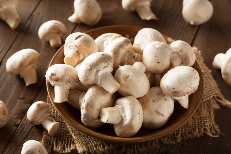 Raw organic white mushrooms ready to cook with