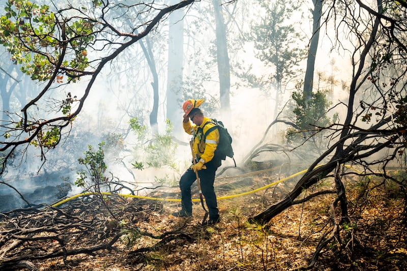 A firefighter pauses to keep the Park Fire from jumping a California highway (AP Photo/Noah Berger)