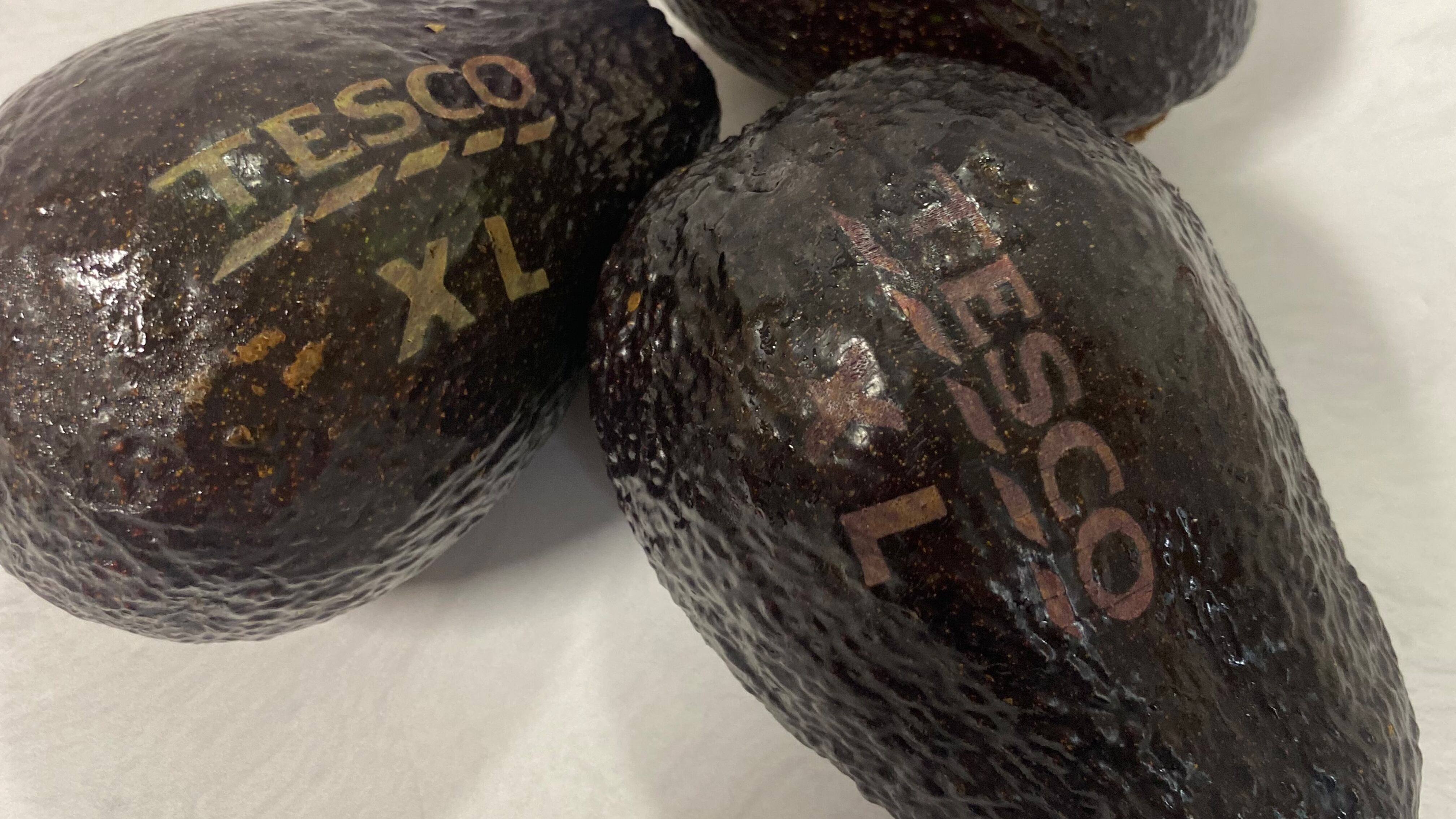 Tesco is to use laser-etchings on its extra large avocados instead of stickers in a trial designed to help the environment