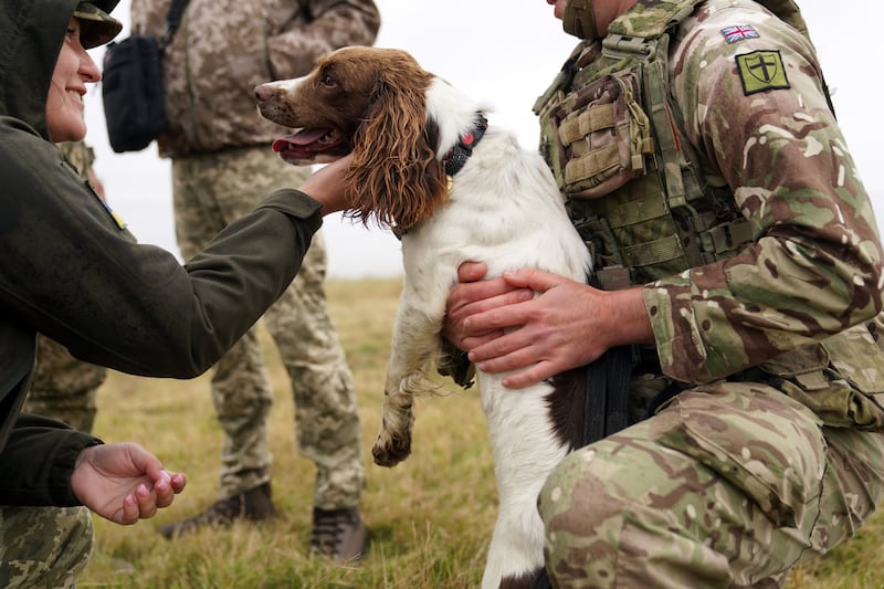 Ukrainian personnel meet military working dog Sophie