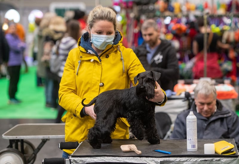 Crufts Dog Show – Day One