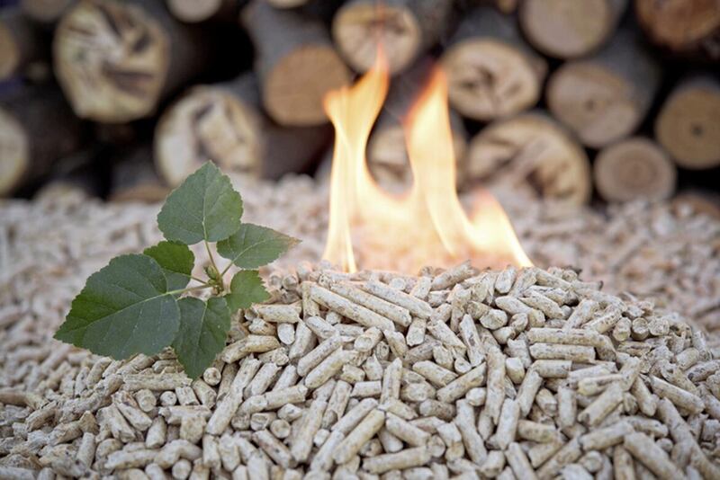 Cut to payments in RHI scheme were lawfully made to prevent a crisis in public finances, appeal court rules 