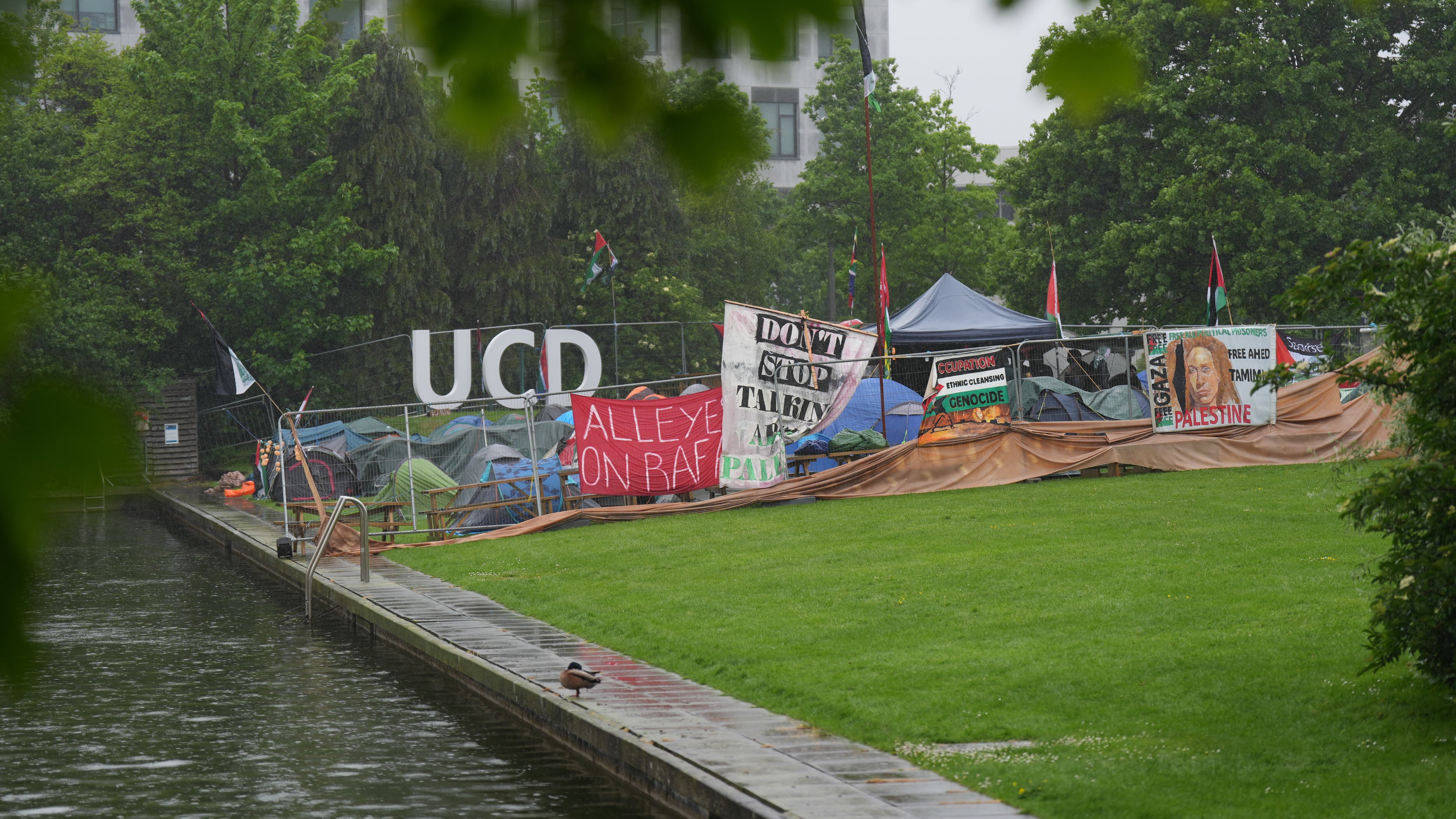 An encampment protest over the Gaza conflict on the grounds of University College Dublin