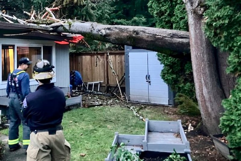 Heavy wind and rain has caused widespread damage (Eastside Fire & Rescue via AP)