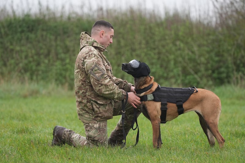 Private Dean with military working dog Una