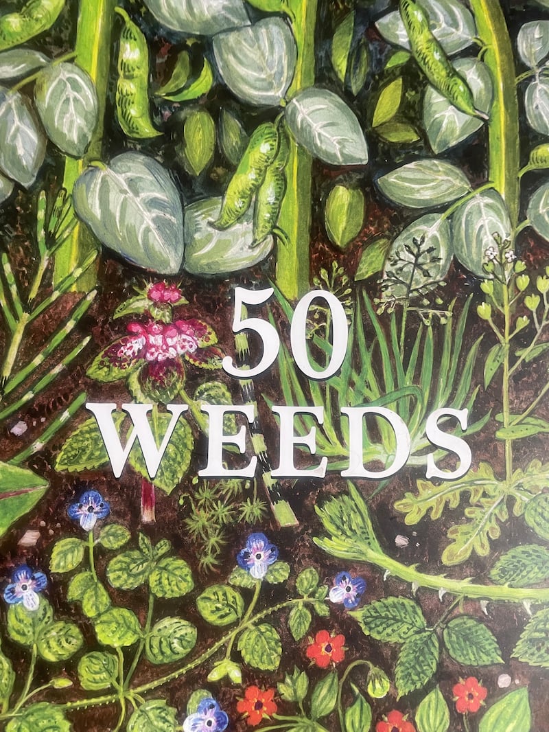 50 Weeds by Oxlade Edwin