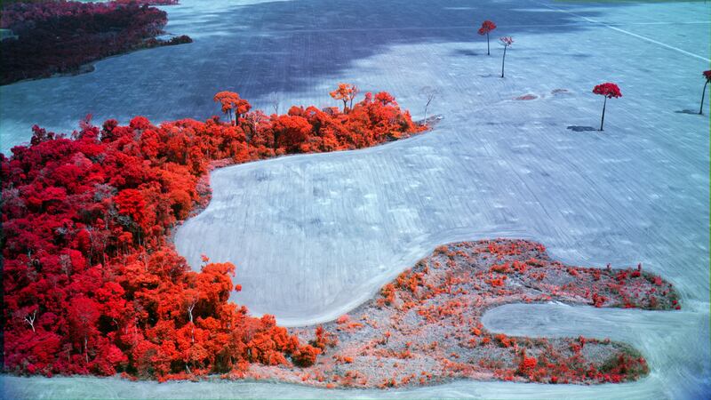 Still from Broken Spectre - Rondônia, Multispectral GIS aerial 09 by  Richard Mosse. Courtesy of the artist and Jack Shainman Gallery, New York which will be shown as part of Belfast Photo Festival 2024
