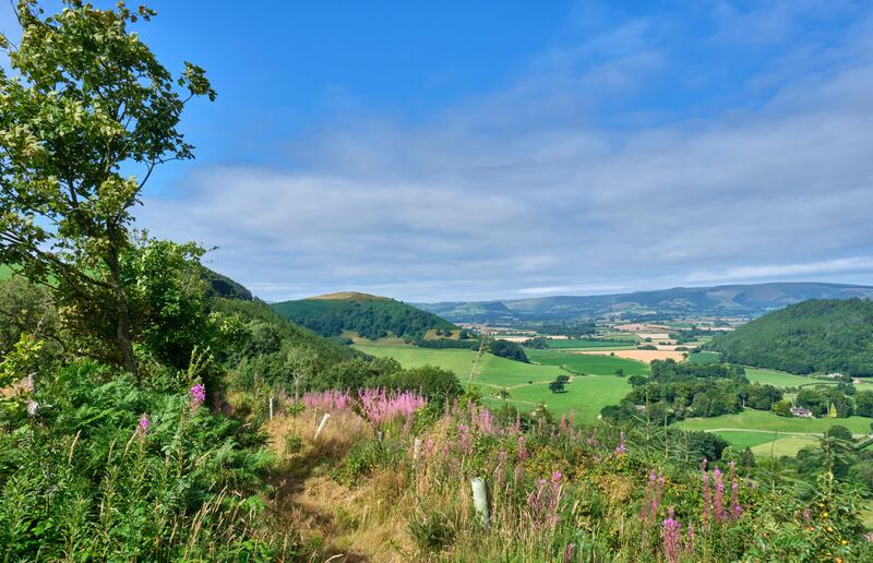 burfa Bank, Herrock Hill, and Radnor Forest seen from the Mortimer Trail