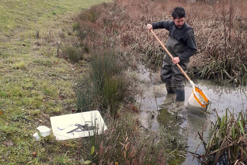 Wren Franklin surveying biodiversity in water bodies for his masters degree.