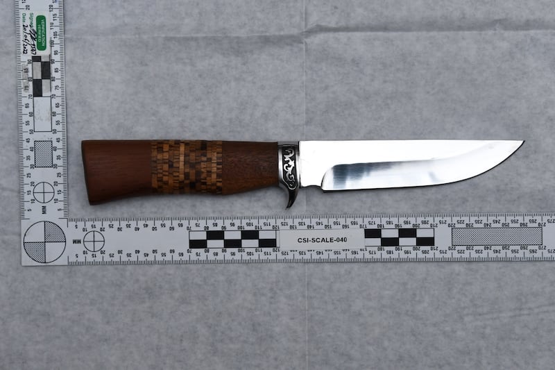 The hunting knife used in the murder of teenager Brianna Ghey