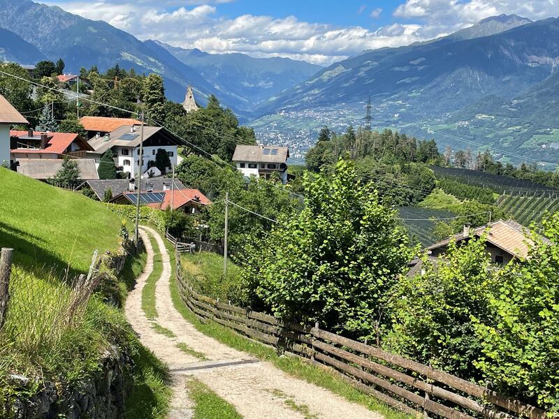 The long and winding path: Chestnut Walk in Felana, South Tyrol