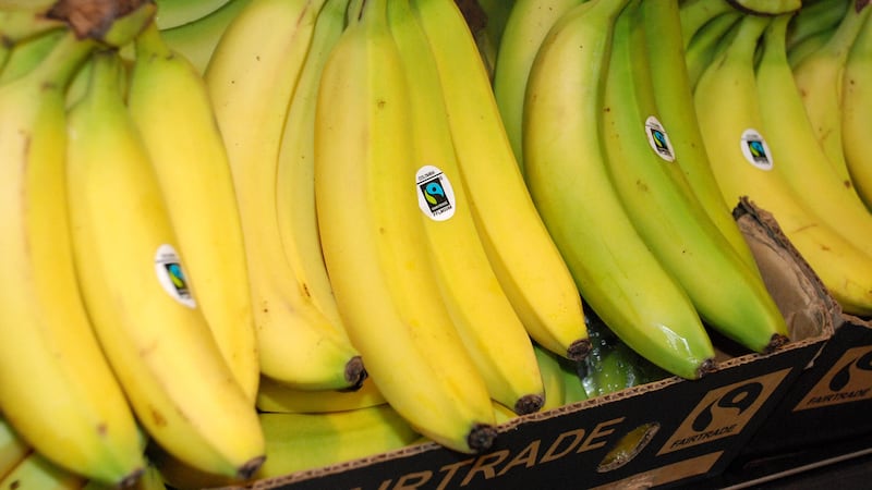 Fairtrade has launched the initiative to ensure banana workers earn their country’s living wage (Kate Fishpool/Fairtrade)
